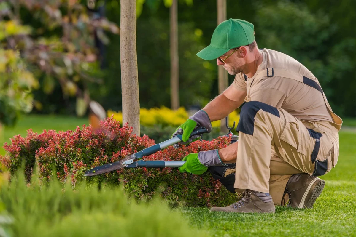 Những loài cây phù hợp nhất cho khu vườn nhiều bóng râm