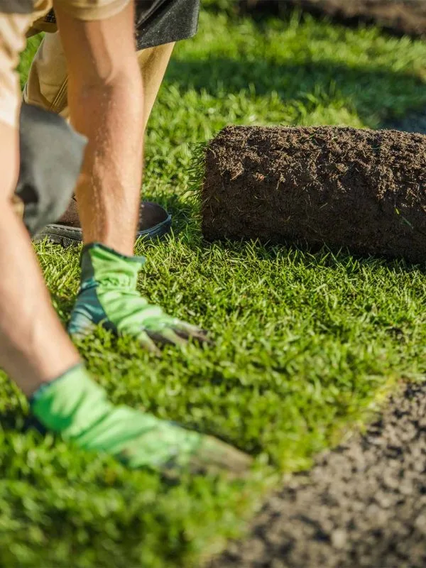 Quán cà phê sân vườn Thủ Đức
